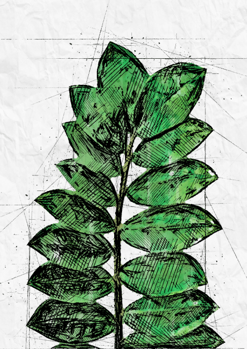Tropical Green Leaf Prints - Printibly
