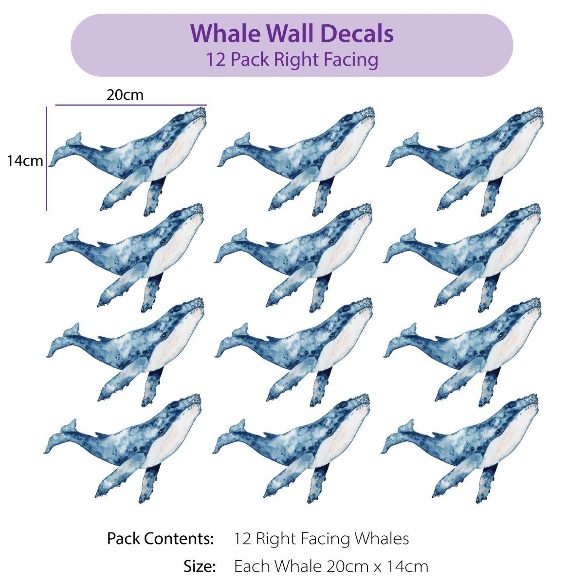 Whale Wall Decals - Printibly